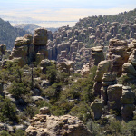 Chiricahua_nima4